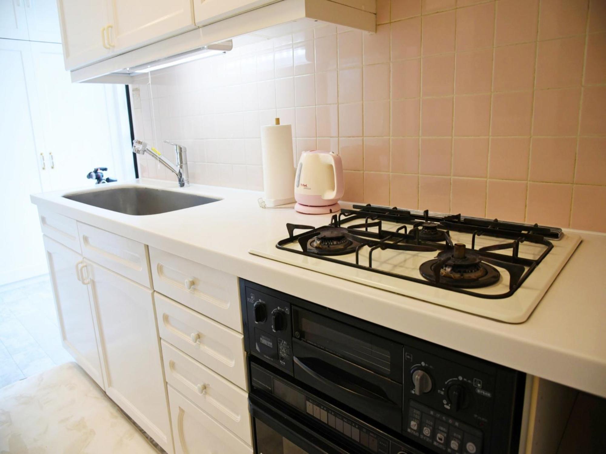 Hostel Pleasure Maruyama 札幌 客房 照片